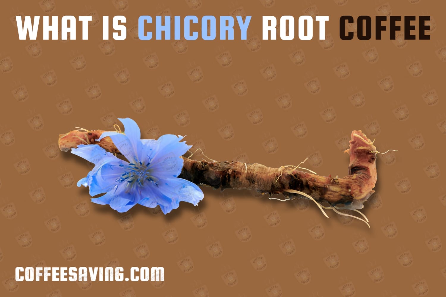 WHAT IS CHICORY ROOT COFFEE​