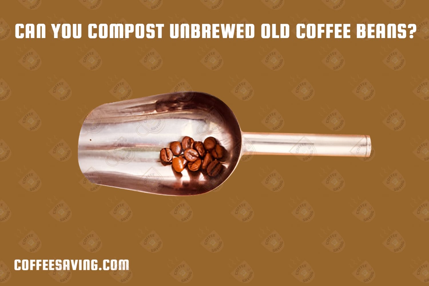 Can You Compost Unbrewed Old Coffee Beans?​