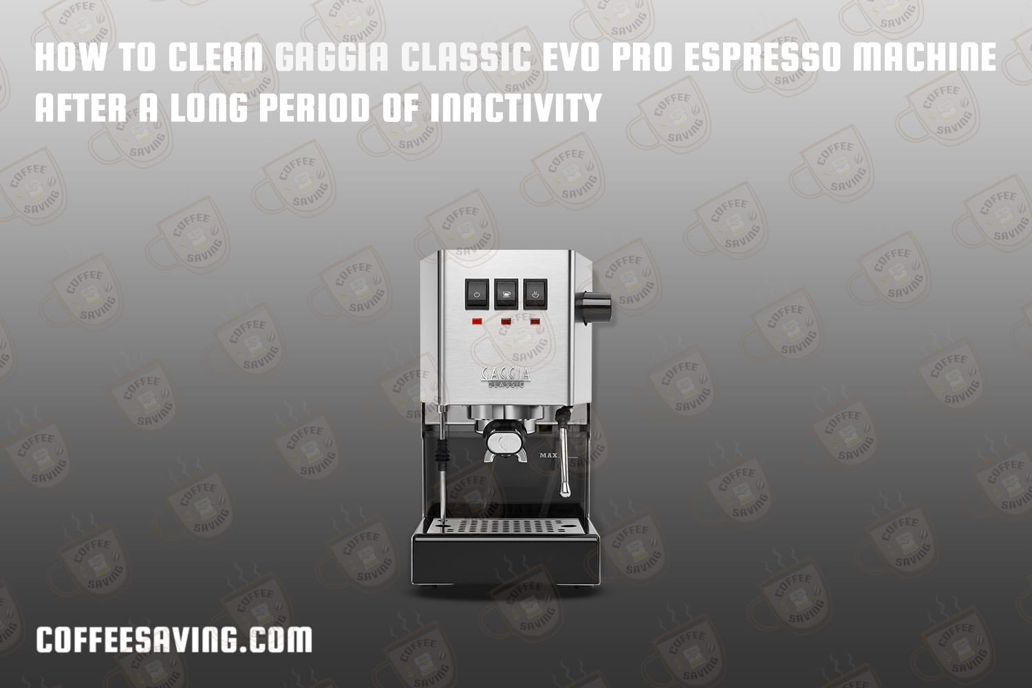 How to Clean Gaggia Classic Evo Pro Espresso Machine After a Long Period of Inactivity