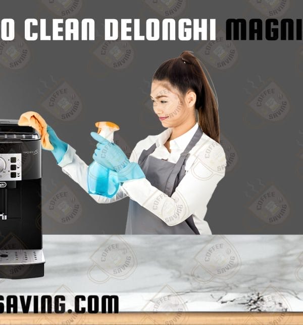 How to Clean Delonghi Magnifica S