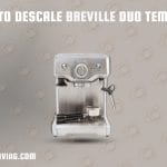 How to Descale Breville Duo Temp Pro