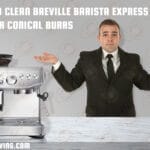 how to clean breville barista express coffee grinder conical burrs